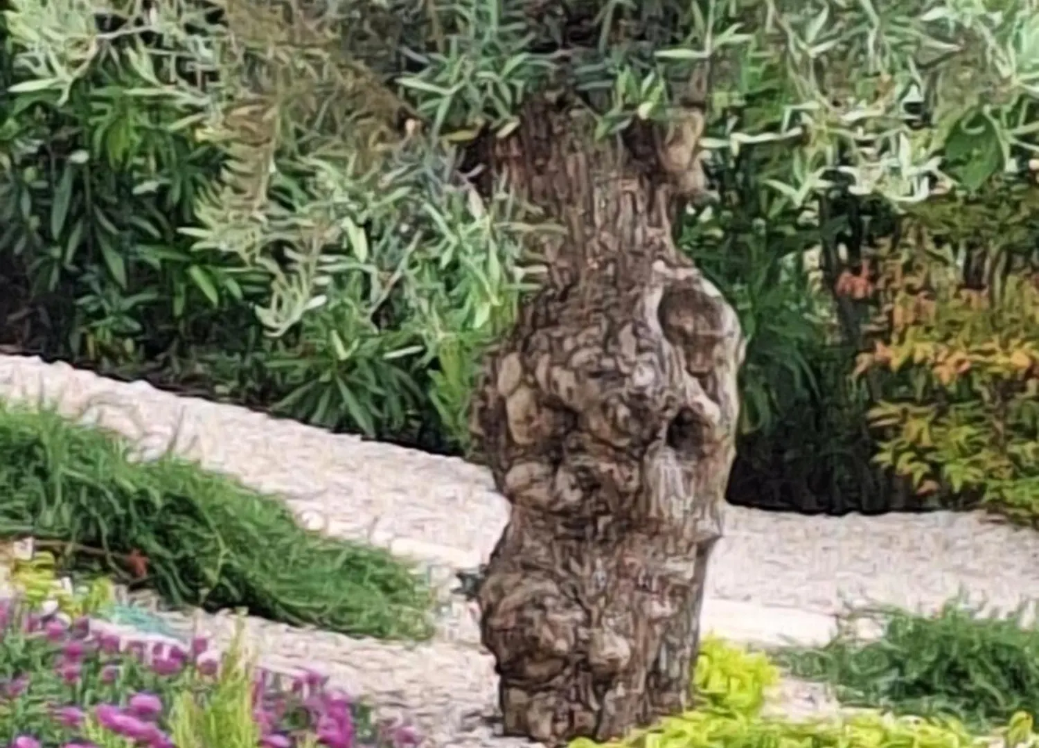 Casa Dell 'Amore Porec Holiday home