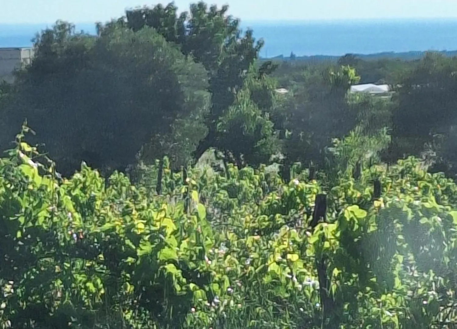 Casa Dell 'Amore Porec Holiday home