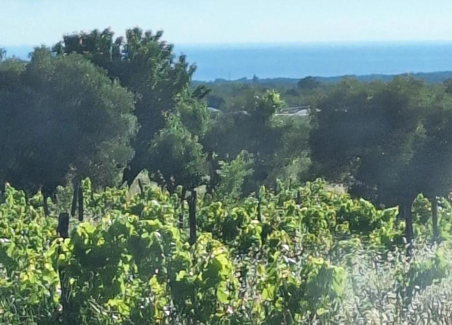 Holiday home Casa Dell 'Amore Porec