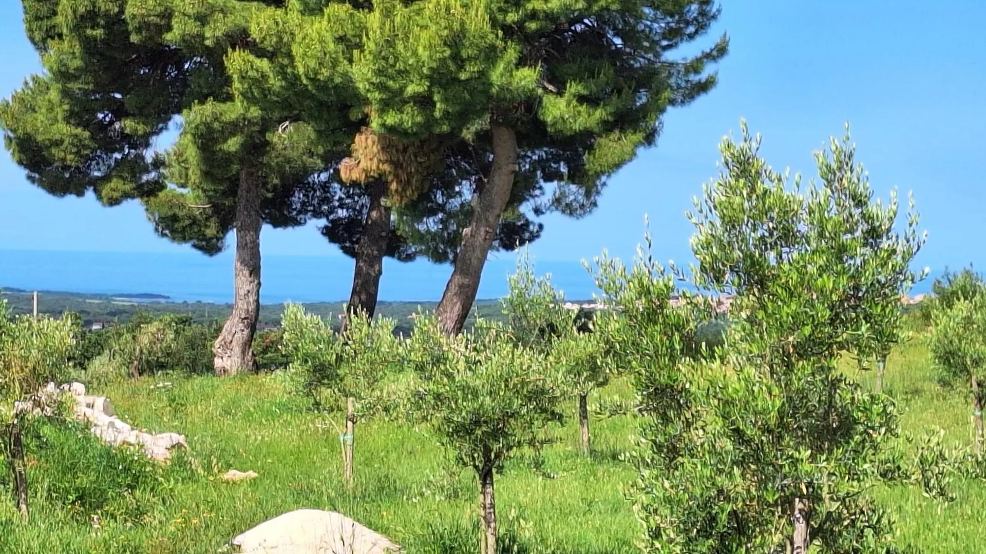 Holiday home Casa Dell 'Amore Porec